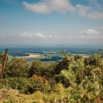 Why move to a disaster zone when you could live well in the Alleghenies?